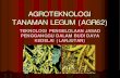 AGROTEKNOLOGI TANAMAN LEGUM (AGR62)ebook.repo.mercubuana-yogya.ac.id/Kuliah/materi_20142_doc/opt... · kerusakan tanaman dengan membuat ... pengolahan tanah untuk mematikan hama ...