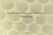 Queen Rearing and Honeybee Breeding - Golden Rule …beeuntoothers.com/queenrearing.pdf · Queen Rearing and Honeybee Breeding ... Bee Genetics: The Worker •Workers make up 80%