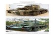 "Surviving Cruiser Tanks" - Freethe.shadock.free.fr/Surviving_Cruiser_Tanks.pdf · Surviving Cruiser Tanks Last update : 29 September 2017 Listed here are the British cruiser tanks
