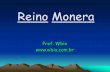 Reino Monera - Wbiowbio.com.br/wp-content/uploads/2016/08/Monera-Wbio.pdf · Reino Monera • Bactérias e Arqueas. • Procariontes. • Unicelulares • Apenas ribossomos como organóides.
