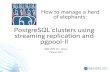 PostgreSQL clusters using streaming replication and · PDF filePostgreSQL clusters using streaming replication and ... One of the oldest PostgreSQL companies in the ... Parser of PostgreSQL
