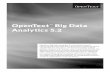 OpenText Big Data Analytics 5 · PDF fileOpenText Big Data Analytics 5.2 introduces several ... OpenText Big Data Analytics provides fast, ... FIGURE 2 Creating regular expressions