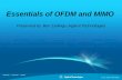 Essentials of OFDM and MIMO - · PDF fileEssentials of OFDM and MIMO Presented by: Ben Zarlingo, Agilent Technologies ... HSPA+ uses code channels on the Common Pilot Channel, CPICH,