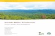 konteks reDD+ di indonesia - cifor.org · PDF file3.2 Deforestasi dan degradasi hutan dalam konteks kebijakan politik, ... HPK Hutan Produksi yang dapat Dikonversi ... POKJA Kelompok