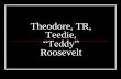 Theodore “Teddy” Roosevelt - Virbmedia.virbcdn.com/files/fc/FileItem-279752-Teddy_Roosevelt.pdf · Teenager Teddy Works hard in his ... Tales of Teddy Roosevelt and his six children