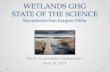 WETLANDS GHG STATE OF THE SCIENCE - California · PDF file15.05.2013 · WETLANDS GHG STATE OF THE SCIENCE Sacramento-San Joaquin Delta Water Commission Presentation May 15, 2013