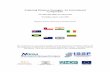 Exploring Diaspora Strategies - Maynooth Universityeprints.maynoothuniversity.ie/.../RK_Exploring_Diaspora_Strategies... · Exploring Diaspora Strategies: An International Comparison