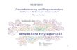 Molekulare Phylogenie III - molgen.biologie.uni-mainz.demolgen.biologie.uni-mainz.de/Downloads/PDFs/Genomforsch/HVseqan… · 1 WS 2017/2018 „Genomforschung und Sequenzanalyse -