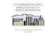 COMMERCIAL PROPERTY INSURANCE -  · PDF filecommercial property insurance sandi kruise insurance training   1-800-517-7500