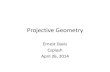 Projective Geometry - NYU Computer Science · PDF fileOutline •The projective plane = Euclidean plane + a new line of points •Projection –Fundamental facts about projection –The
