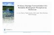 Primary Sludge Fermentation for Reliable Biological ... PNCWA- Session 5-1 - Phosp… · Primary Sludge Fermentation for Reliable Biological Phosphorus Removal Li Lei, Barry Rabinowitz,