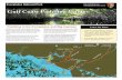 Gulf Coast Paddling Guide - National Park Service · PDF fileEverglades National Park National Park Service U.S. Department of the Interior Gulf Coast Paddling Guide Paddling in the