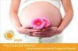 The Essential Mother PDF - Joya Familyjoyafamily.com/webinars/The-Essential-Mother_compd.pdf · Essential Oils for Pregnancy? Stephanie Fritz LM, CPM Say,” She uses ALL doTERRA