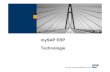 mySAP ERP Technologie - esell.de · PDF fileSAP AG 2004, mySAP ERP – Technology Facts, 21. Upgrade-Sicht – Optionen. Kunden mit diesen Releases sollten schnellstmöglich upgraden*