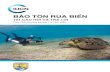 1. Viện tài nguyên và môi trường biển - iucn.org · PDF fileViện tài nguyên và môi trường ... về bảo tồn rùa biển và hệ sinh thái ... chia sẻ những