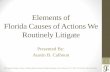 Elements of Florida Causes of Actions We Routinely · PDF fileFlorida Causes of Actions We Routinely Litigate ... affirmative defenses in ... A demand is futile and therefore unnecessary