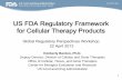 US FDA Regulatory Framework for Cellular Therapy · PDF file1 US FDA Regulatory Framework for Cellular Therapy Products Global Regulatory Perspectives Workshop 22 April 2013 Kimberly