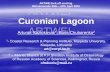 Curonian Lagoon - Baltic · PDF fileCuronian Lagoon. Arturas Razinkovas. 1, Boris Chubarenko. 2. 1-Coastal Research & Planning Institute, Klaipėda University, Klaipeda, Lithuania.