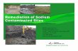 Remediation of Sodium Contaminated Sites - Project · PDF fileManaging Strategies into Tactical Action Remediation of Sodium Contaminated Sites Managing Strategies into Tactical Action