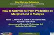 How to Optimize Oil Palm Production on Marginal Land in ... · PDF fileHow to Optimize Oil Palm Production on Marginal Land in Malaysia Hasnol O, Afandi A M, Zulkifli H, Farawahida