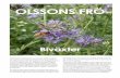 Biväxter - olssonsfro.se1).pdf · Biväxter Blodklöver (Trifolium incarnatum) ettårig, ibland övervintrande baljväxt. 50–70 cm hög. Sås maj–september. långdagsväxt, går