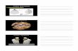 Phylum Brachiopoda - fossilhub.orgfossilhub.org/wp-content/uploads/2013/06/2013_IntroFossils_pt2.pdf · 19/06/2013 2 Fossils - Strophomenida Fossils - Terebratulida Brachiopods vs