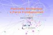 Particelle Elementari e Forze Fondamentali - ge.infn.itsquarcia/DIDATTICA/Orientamento/06_Robutti.pdf · E. Robutti Particelle Elementari e Forze Fondamentali 6 L’interazione nucleare