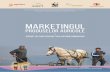 MARKETINGUL - ProPark · PDF fileCE ESTE MARKETINGUL PRODUSELOR ... Elaborarea planului de afaceri ... cate facilitatorilor comunitari ca și expert în marketing. Alin este