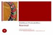 Distribusi Probabilitas : Normaldebrina.lecture.ub.ac.id/files/2017/03/10-Distribusi-Normal.pdf · Karakteristik Distribusi Kurva Normal 1. Kurva berbentuk genta (µ= Md= Mo) 2. Kurva