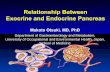 Relationship Between Exocrine and Endocrine Pancreas · PDF fileRelationship Between Exocrine and Endocrine Pancreas Department of Gastroenterology and Metabolism, University of Occupational