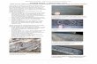 Building Stones 4 - Metamorphic rocks - Earth Learning · PDF fileBuilding Stones 4 - Metamorphic rocks ... • state which of the photographs shows a rock ... intense heat and pressure