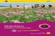 Mohnblüte - Altes Forsthaus  · PDF fileHier erhalten Sie Honig aus dem Mohn-feld und Meißner-Mohn in Honig: Imkerei Imhäuser, 37242 Bad Sooden-Allendorf/Ahrenberg,