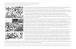 UNDERCONSTRUCTION NEW PHOTOMONTAGEjrpickel/pdfs/under.pdf · UNDERCONSTRUCTION NEW PHOTOMONTAGE ... West Virginia 1935 Courtesy Halsted Gallery 15. Robert Rauschenberg Canto xxxi