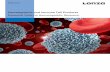 Hematopoietic and Immune Cell Products - Lonzabio.lonza.com/...Hematopoietic_and_Immune_Cell_Products_-_Essenti… · 2 BioResearch Hematopoietic and Immune Cell Products Essential