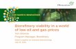 Biorefinery viability in a world of low oil and gas prices Browne_0.pdfBiorefinery viability in a world ... Cumene p-Xylene Iso-butylene Butadiene Styrene Adipic acid ... Conversion