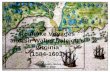 Roanoke Voyages and Raleigh's Virginiavirginiahistoryseries.org/linked/unit 4. roanoke voyages and... · 6 The First English Voyage of Exploration to Raleigh’s “Virginia” One