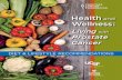 Health and Wellness - PCF · PDF fileguide is on diet and lifestyle factors associated with ... 6 HEALTH and WELLNESS: ... heart disease, stroke, and other diseases DIET LIFESTYLE