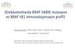 Glioblastomlarda BRAF V600E mutasyon ve BRAF VE1 ...patoloji2017.org/wp-content/uploads/2017/12/1.-SS-52-ZEYNEP... · • Bir konvansiyonel glioblastom olgusunda yeterli tümör alanı