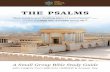 THE PSALMS - Home - Israel Institute of Biblical Studies · PDF filewith Insights from BIBLICAL HEBREW ... We wish you and your Bible Study group an exciting journey through the world
