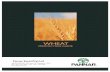 Wheat Production Guides - Pannar · PDF file2 B) CULTIVAR INFORMATION – FIRST STEP TO SUCCESSFUL WHEAT PRODUCTION 1. INTRODUCTION Cultivar selection is one of the most important