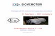 C Series – DC motors - Sicmesicme.ru/documents/catalogs/eng/SicmeMotori_ATEX_eng.pdf · Motor type C7 C7C C11 C13 C16 C19 C19H C23 Execution ... C Series DC motors are not suitable