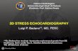 3D STRESS ECHOCARDIOGRAPHY - European Society …assets.escardio.org/.../23.Badano-3D-stress-echo.pdf · •Difficult to precisely match myocardial segments between baseline and stress