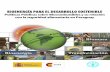 BIOENERGÍA PARA EL DESARROLLO  · PDF fileBIOENERGÍA PARA EL DESARROLLO SOSTENIBLE Políticas Públicas sobre Biocombustibles y su relación con la seguridad alimentaria