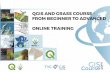 QGIS AND GRASS COURSE - FROM BEGINNER TO · PDF fileThe main purpose of the course is to provide training, from beginner to advanced levels in QGIS, a free and open source desktop