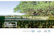 Coastal Blue CarBon - Center for International Forestry ... · PDF fileCoastal Blue CarBon ... Oscar Serrano – Edith Cowan University ... ASF Alaska Satellite Facility B b biomass