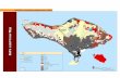 LAMPIRAN 1. Hasil Survey tutupan lahan di Bali · PDF fileKeterangan Peta Pusat Perpetaan Kehutanan Badan Planologi Kehutanan Departemen ... juga telah diintepretasikan sebagai kebun