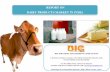 REPORT ON DAIRY PRODUCTS MARKET IN INDIA - big …big-consultants.com/images/Dairy Industry.pdf · REPORT ON DAIRY PRODUCTS MARKET IN INDIA ... Almost 46 per cent of milk produced