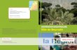 Liban · PDF filement social libanais, Université Saint-Joseph (USJ). Coopération réalisée avec la collaboration de : Liban ... arabe, française et anglaise