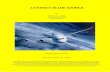 AVIONICS MADE SIMPLE - Dr. Mouhamed · PDF filev PREFACE The purpose of this book is to present aerospace electronic systems, also known as avionics, in a logical and comprehensible