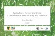 Eva Muller   forests and trees: a close link for food security and nutrition Eva Muller FAO